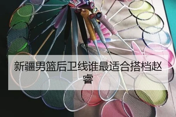 新疆男篮后卫线谁最适合搭档赵睿